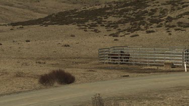 Truck towing a horse trailer to a paddock