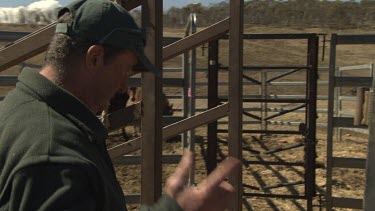 Farmer directs a horse trailer backing into a paddock