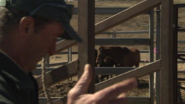 Farmer directs a horse trailer backing into a paddock