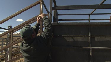 Farmer ties a horse trailer to a paddock