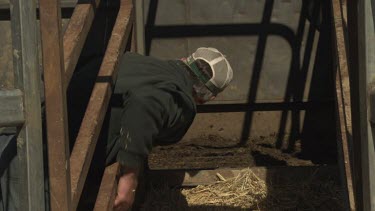 Farmer bends through the bars of a horse paddock