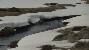 Snow along the bank of a rushing river
