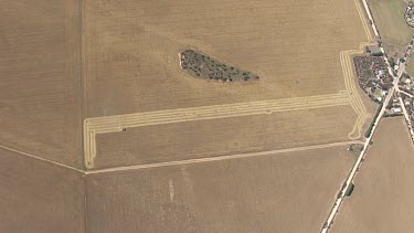 Wheat harvester farming a golden field