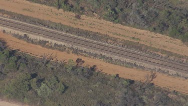 Train with colourful cars travelling through a forest