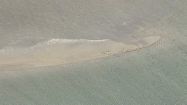 Sunlit beach off the coast of Spencer Gulf