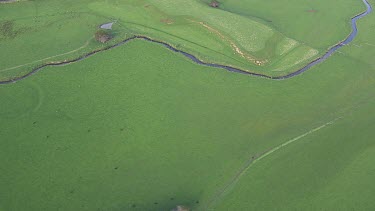 River running through green fields in Great Otway National Park