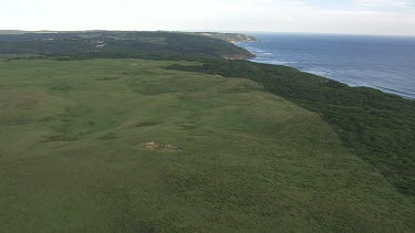 Forested hills and the coast in Great Otway National Park
