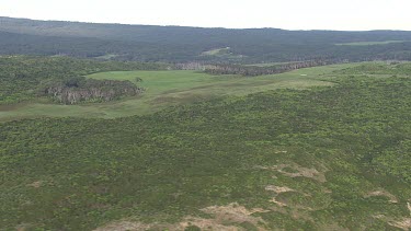Forested hills in Great Otway National Park