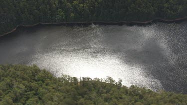 River and forested riverbank along Cradle Mountain