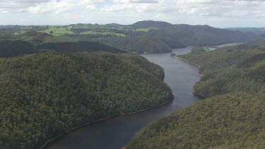 River and forested riverbank along Cradle Mountain
