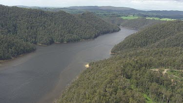 River and forested riverbank along Cradle Mountain