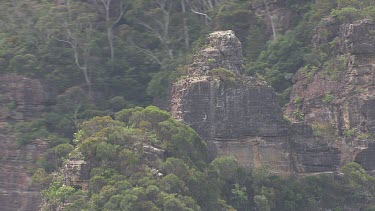 Aerial of Blue Mountains and Three Sisters