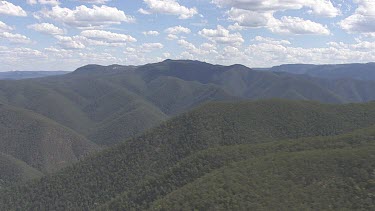 Dense forest and a cloudy sky over Blue Mountains