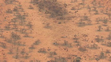 Sparse trees dotting the desert outback landscape