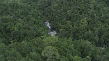 River winding through a dense forest in Daintree National Park