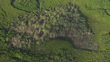 Aerial view of a winding river through a forested landscape