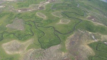 Winding river through a forested landscape in Daintree National Park