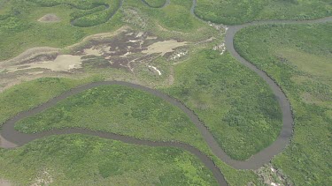 Winding river through a forested landscape in Daintree National Park