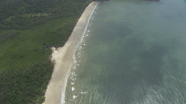 Aerial view of the ocean and a forested coast in Daintree National Park