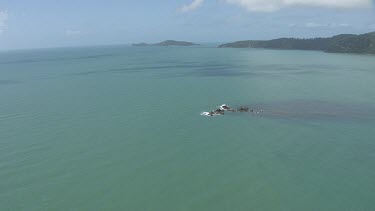 Aerial view of the ocean and a forested coast in Daintree National Park