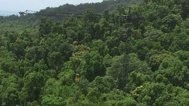 Nest on a canopy crane over dense forest in Daintree National Park
