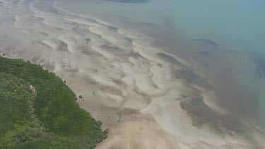 Aerial view of the ocean and a forested coast in Daintree National Park