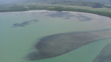 Patches of sand and vegetation in the ocean in Daintree National Park
