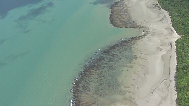 Aerial view of the beach and forested coast in Daintree National Park