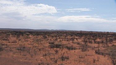 Blue sky over desert vegetation in King's Canyon