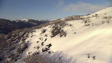 Snow-covered mountain range in Australia