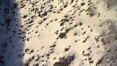 Snow-covered mountain range in Australia