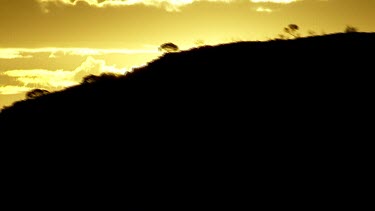 Aerial Views over MacDonnell Ranges- Sunrise