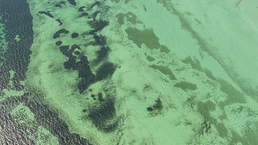 Aerial View of Shark Bay