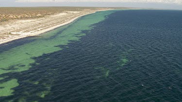 Aerial View of Shark Bay