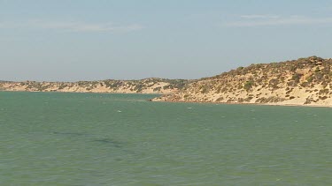 Aerial View of Shark Bay Coastline