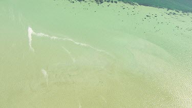 Aerial View of Shark Bay - Algae on the sea bed and coastline