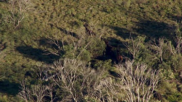 Aerial of Kosciuszko National Park Landcape - Wild Horses