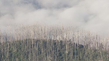 Aerial of Kosciuszko National Park Landcape