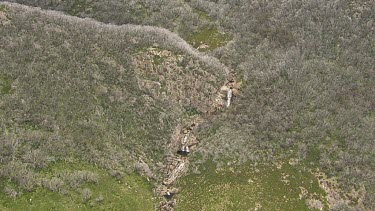 Aerial of Kosciuszko National Park - Dense forest and river landscape