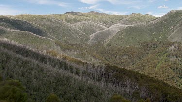 Aerial of Kosciuszko National Park - Dense forest and mountain landscape