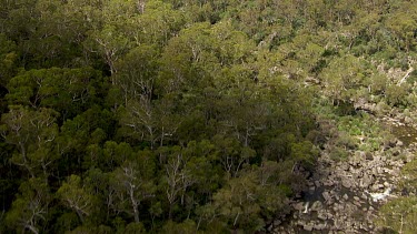 Aerial of Kosciuszko National Park -  Tracking through forest and river landcape