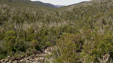 Aerial of Kosciuszko National Park -  Tracking through forest and river landcape