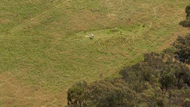 Aerial of Kosciuszko National Park Landcape - Wild Horse standing