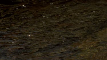 Flowing creek CU