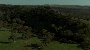 Green grasslands