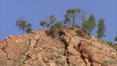 rocky ridge and cypress pine on top