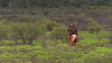 Two horses and riders ride off through the scrub