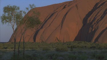 Uluru surface showing undulating rock and light and shade some vegetation in foreground