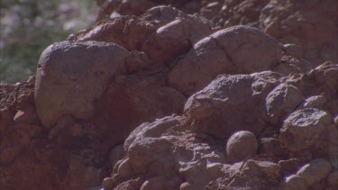 small rock boulders of Kata Juta weathered by sun and time