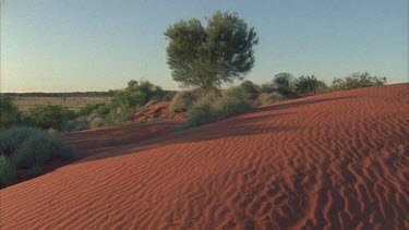 pan from vegetation in front and red sand dunes in foreground